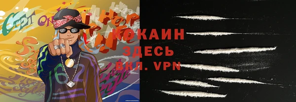 соль ск Алзамай