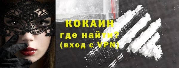 соль ск Алзамай