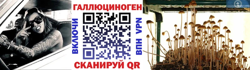 Галлюциногенные грибы GOLDEN TEACHER  Берёзовский 